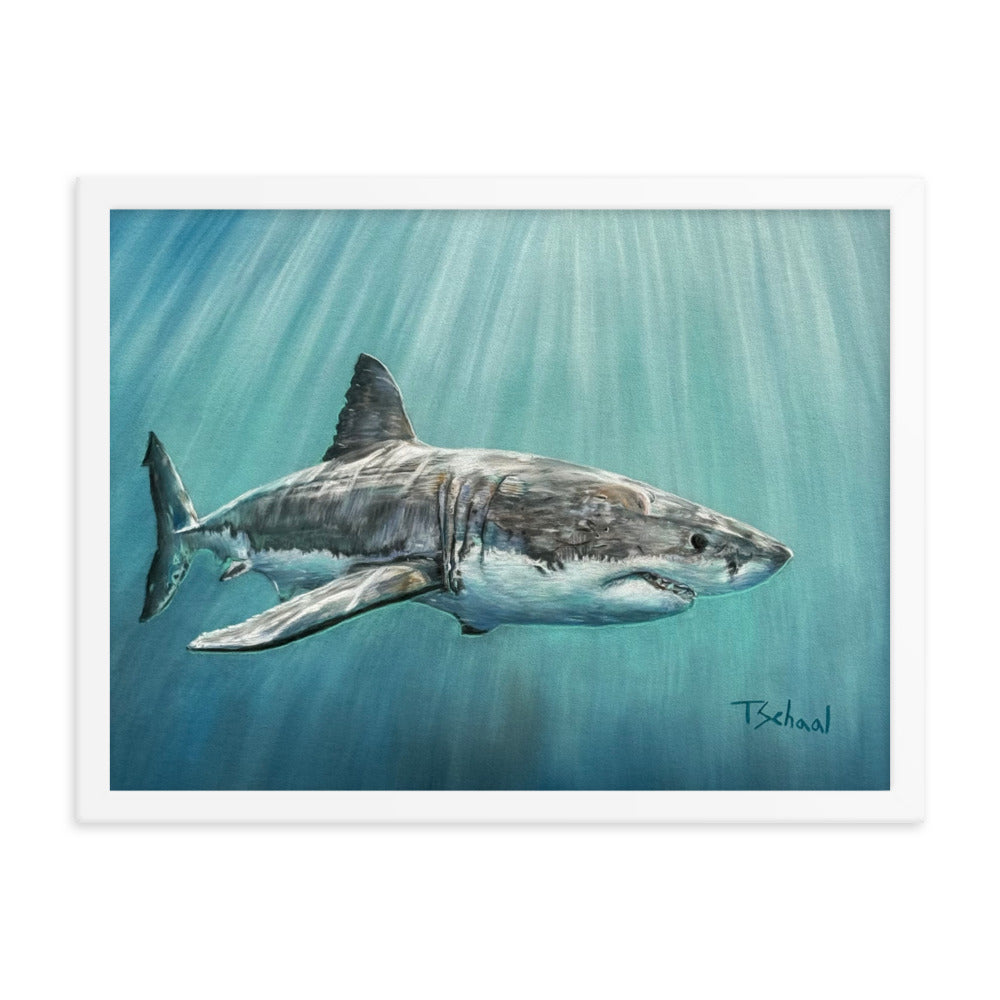 Great White Framed Print