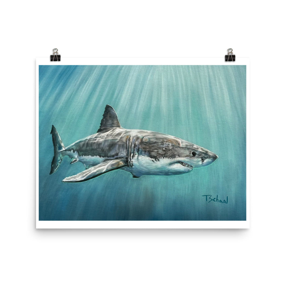Great White Unframed Prints