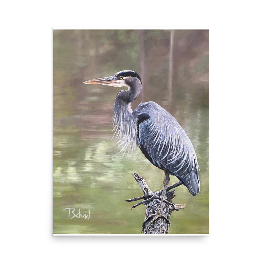 Gus the Great Blue Heron Print