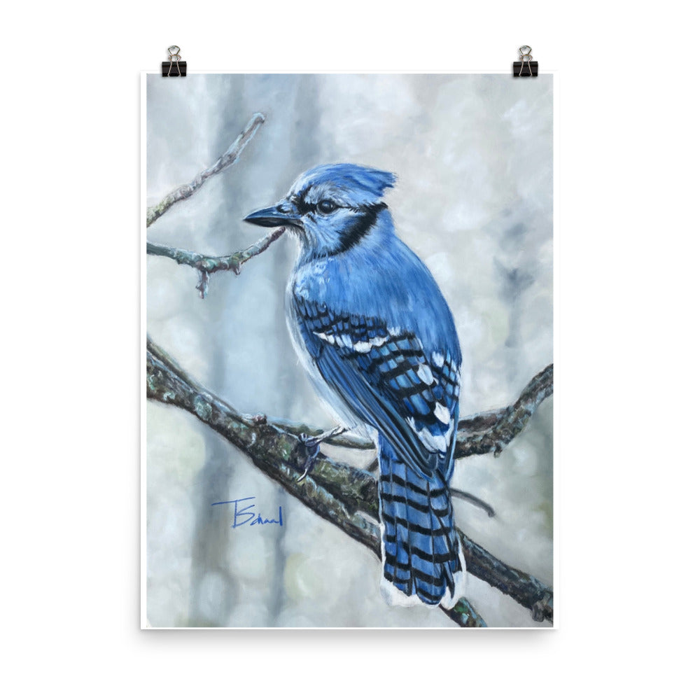 Jay the Visitor Print